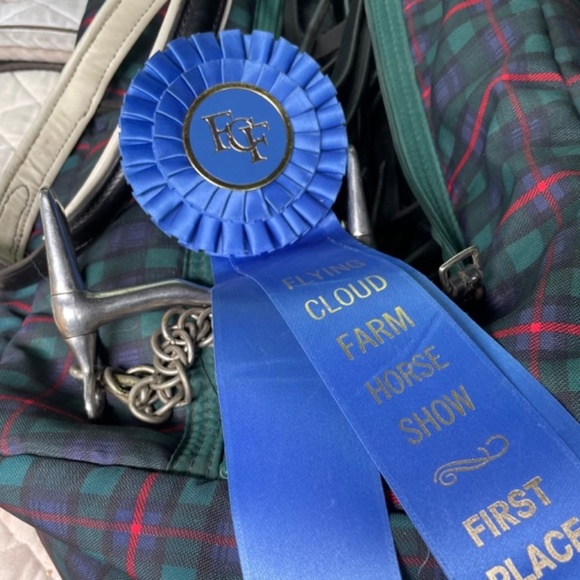 Vintage Equestrian Accents Blue Ribbon St Place Horse Show Satin